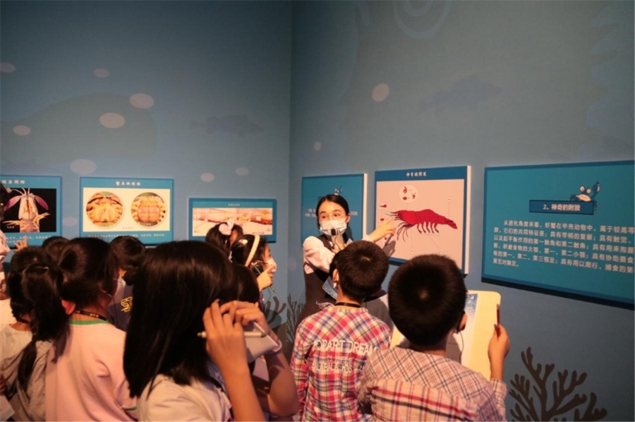 1644907657808 1644907657808