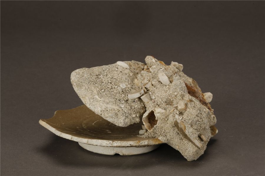 1648397912518 1648397912518